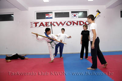 taekwondo kwon training